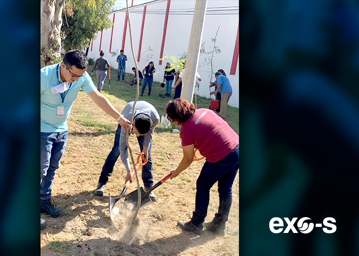 On August 30, employees of Exo-s and Coca-Cola FEMSA participated in reforestation by planting 150 trees